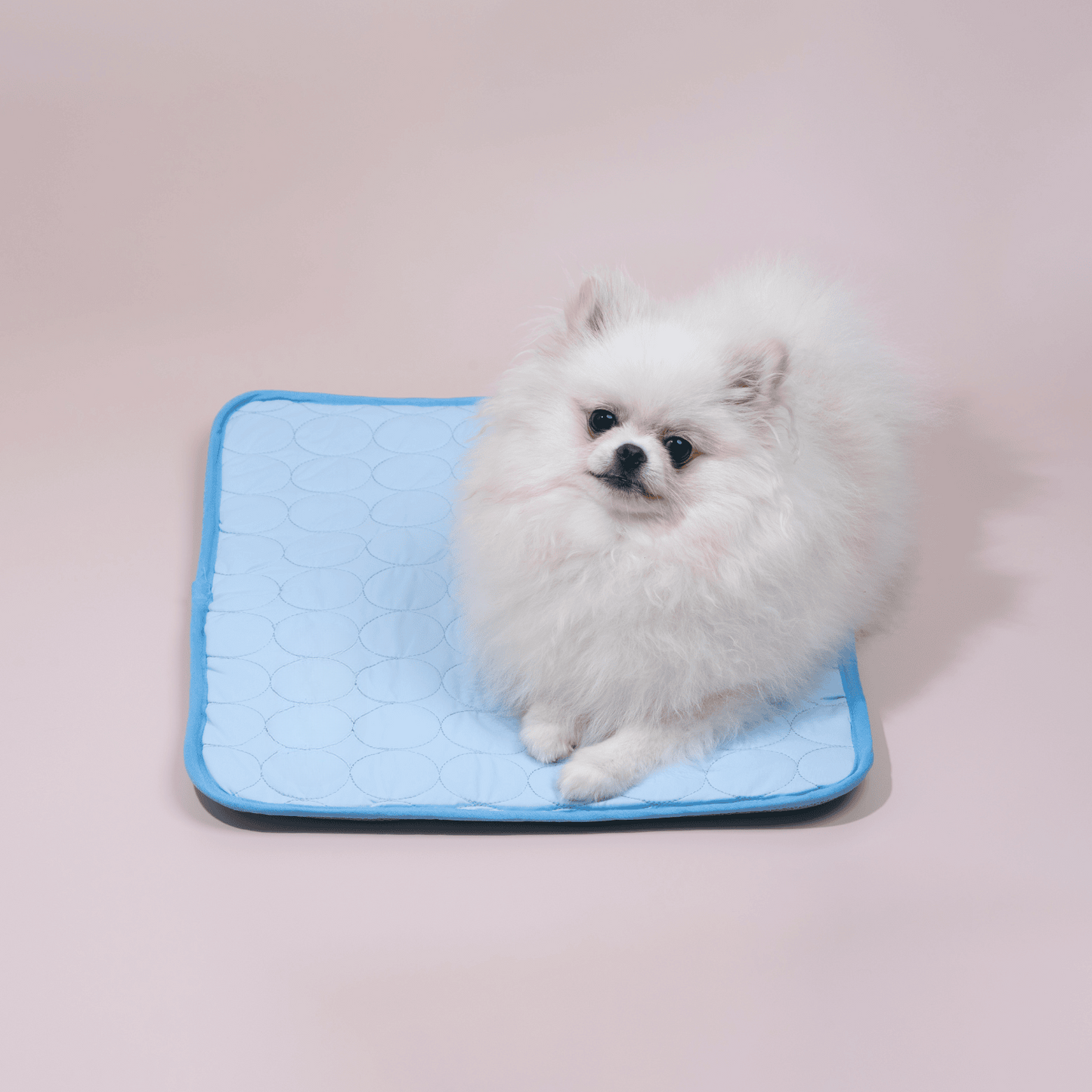 Koelmat - Dé oplossing om je hond of kat koel te houden tijdens warme zomerdagen