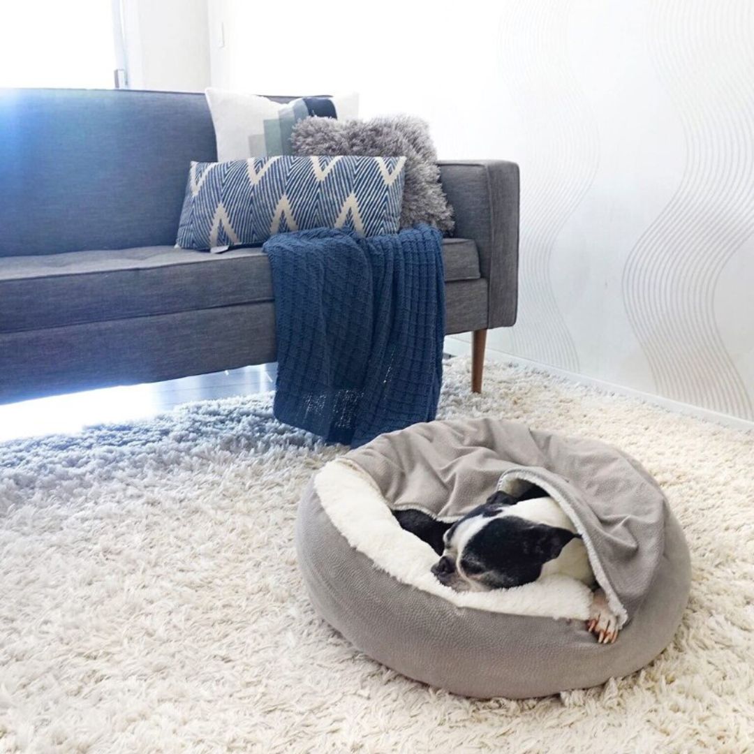 Geef Jouw Hond de Ultieme Ontspanning en Comfort - Hondenmand