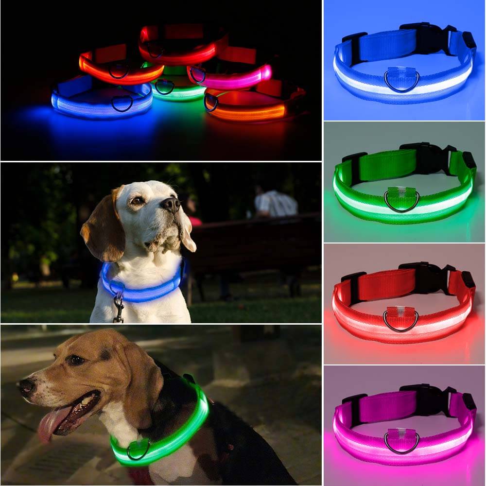 Zorg voor de Veiligheid van je Hond met de Reflecterende Halsband!