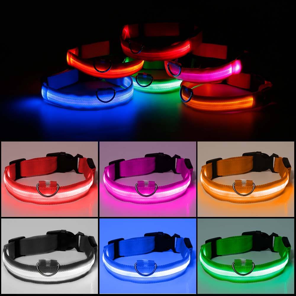 Zorg voor de Veiligheid van je Hond met de Reflecterende Halsband!