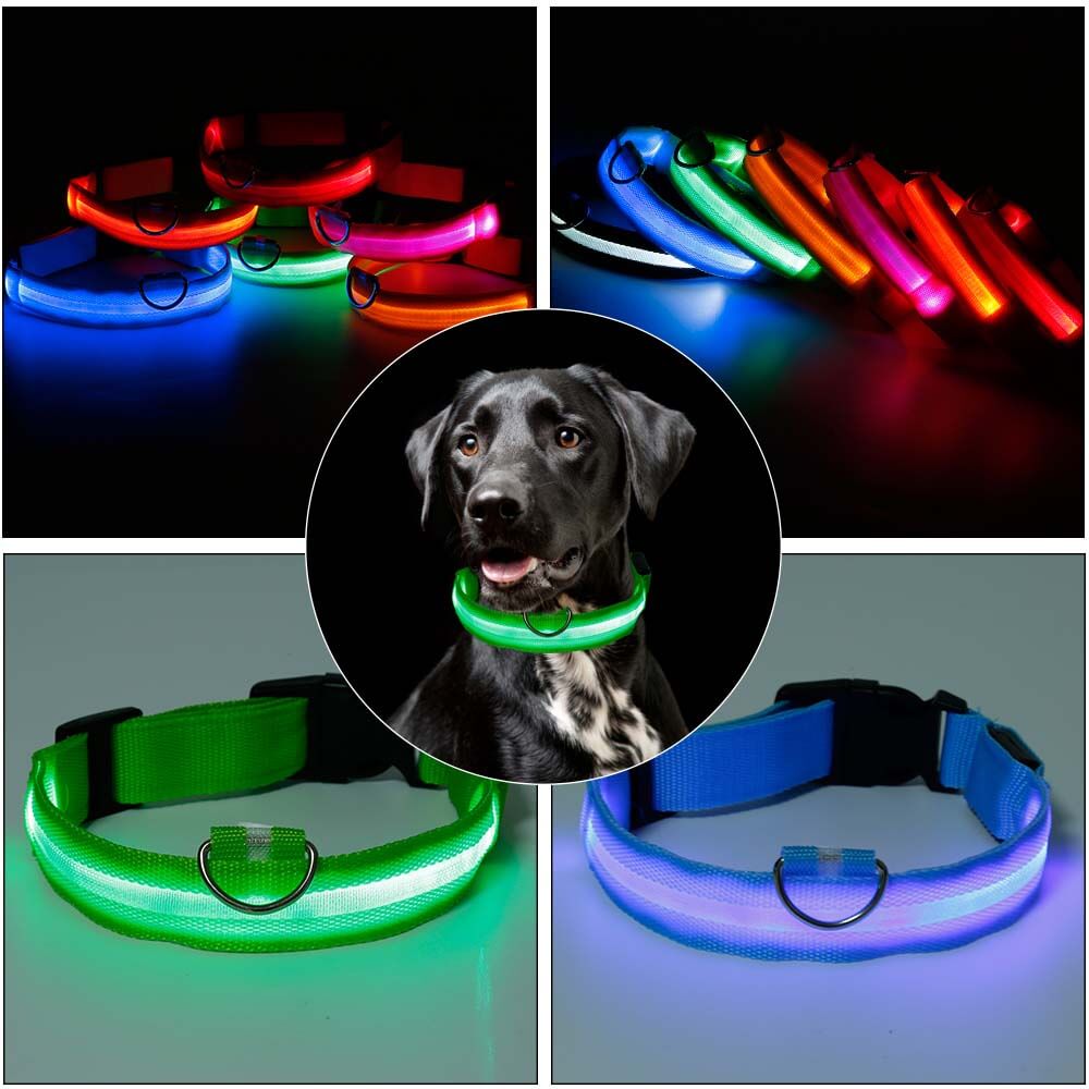 Zorg voor de Veiligheid van je Hond met de Reflecterende Halsband!