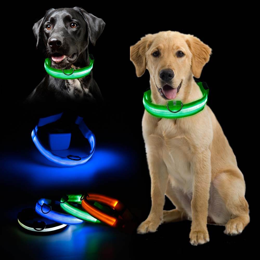 Zorg voor de Veiligheid van je Hond met de Reflecterende Halsband!