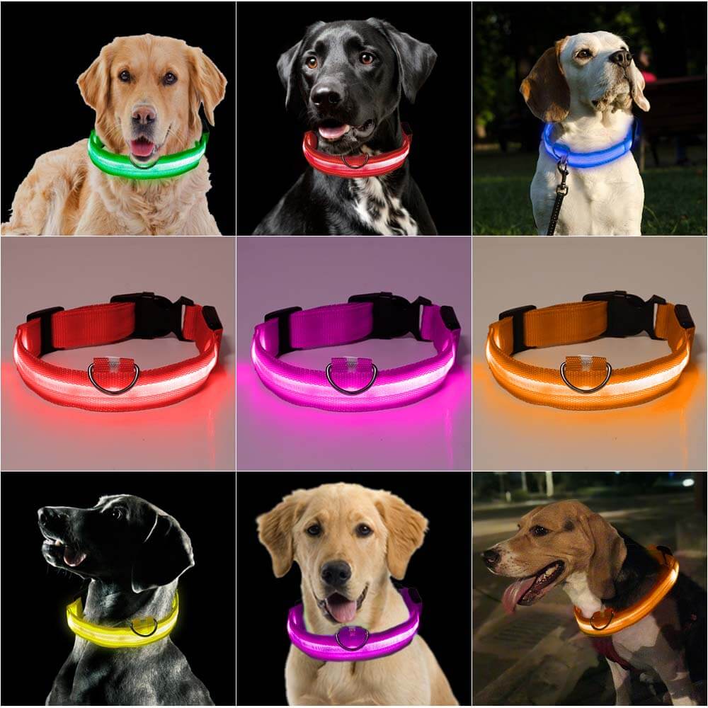 Zorg voor de Veiligheid van je Hond met de Reflecterende Halsband!