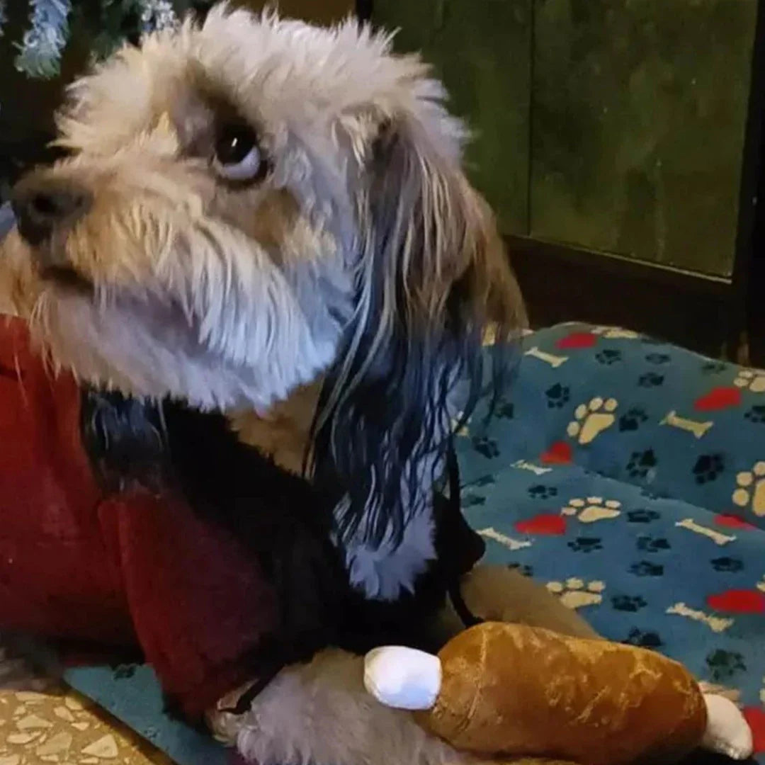 Puppy Speelgoed Set – 7 Geluidsspeeltjes voor Kauwplezier en Zintuigontwikkeling