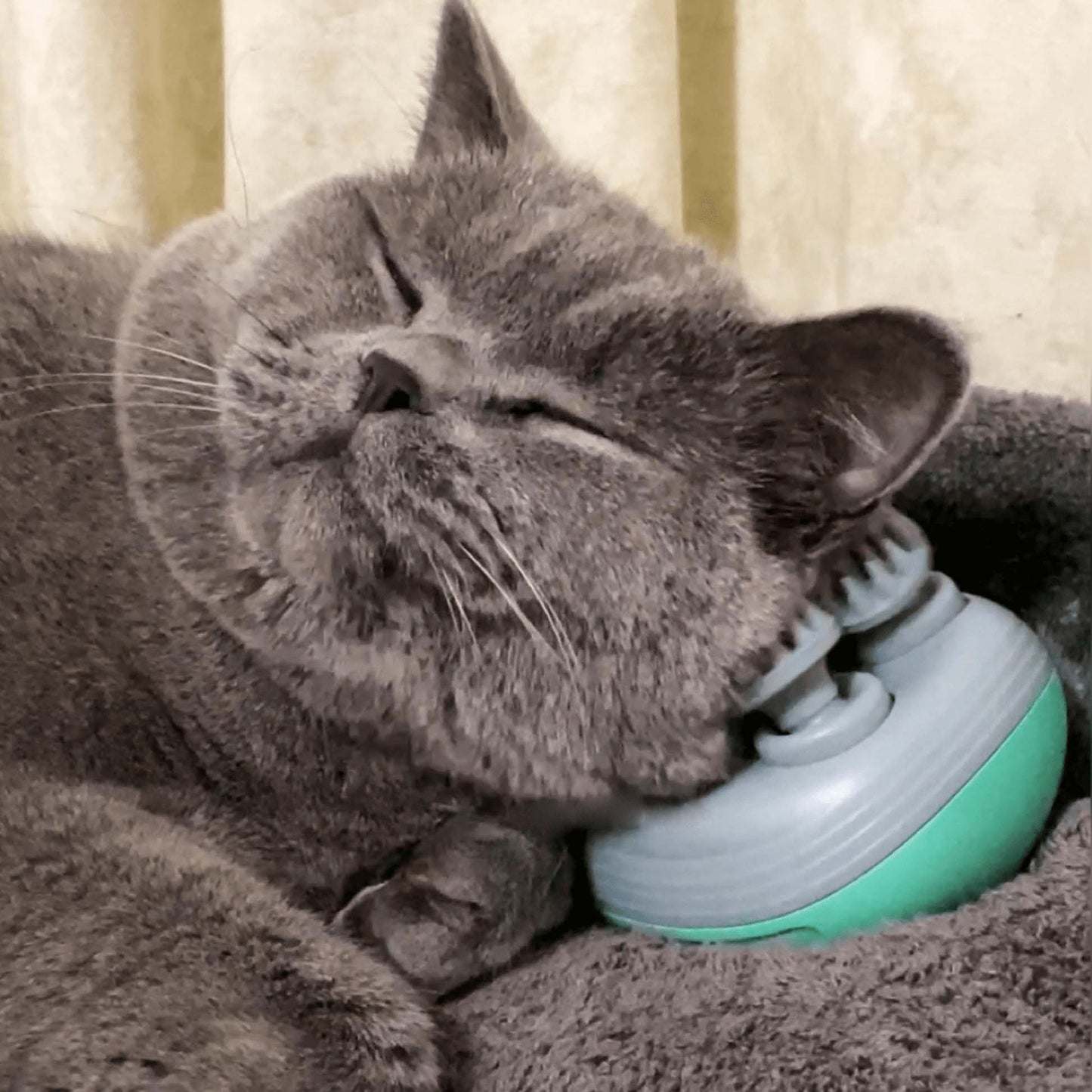 Ontspan je Kat met de Ultieme Massage-ervaring - Massageborstel voor je Huisdier