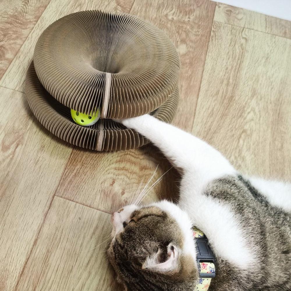 Waarom Je Dit Speeltje Nodig Hebt voor Je Kat: Eindeloos Speelplezier en Bescherming voor Je Meubels