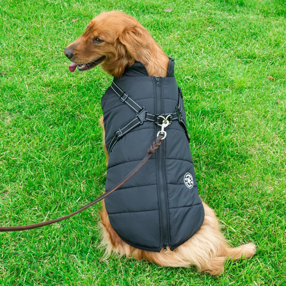 Waterdichte Heerlijk Beschermende Winterjas Voor je Hond
