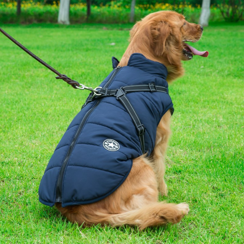 Waterdichte Heerlijk Beschermende Winterjas Voor je Hond