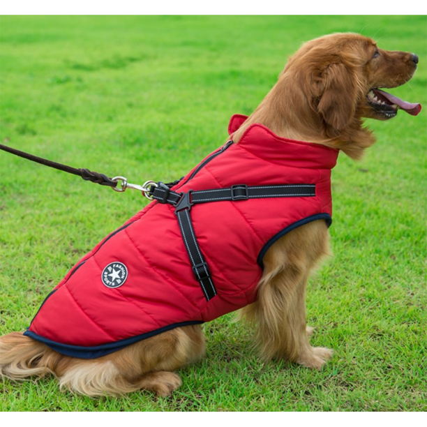 Waterdichte Heerlijk Beschermende Winterjas Voor je Hond