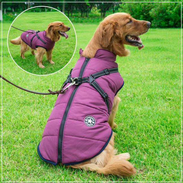 Waterdichte Heerlijk Beschermende Winterjas Voor je Hond