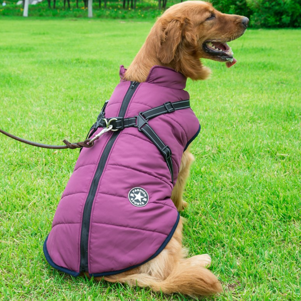 Waterdichte Heerlijk Beschermende Winterjas Voor je Hond
