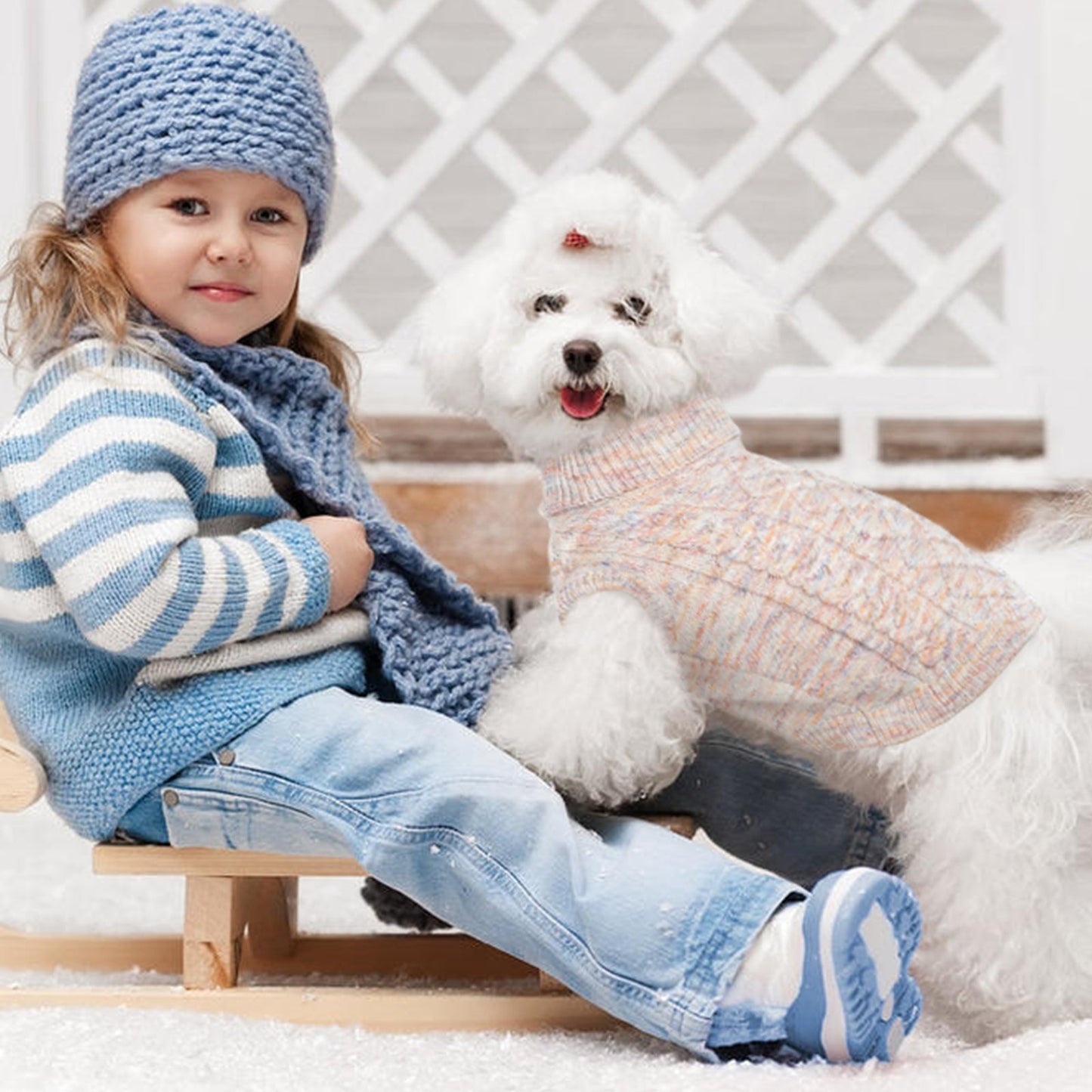 Houd je Hond Warm en Stijlvol met Onze Knusse Coltrui