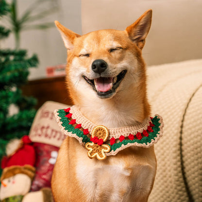 Kerst Sjaal en Sokken Set voor Huisdieren – Gezellige Kerstoutfit voor Jou en Je Huisdier