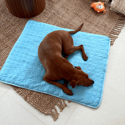 Koelmat - Dé oplossing om je hond of kat koel te houden tijdens warme zomerdagen
