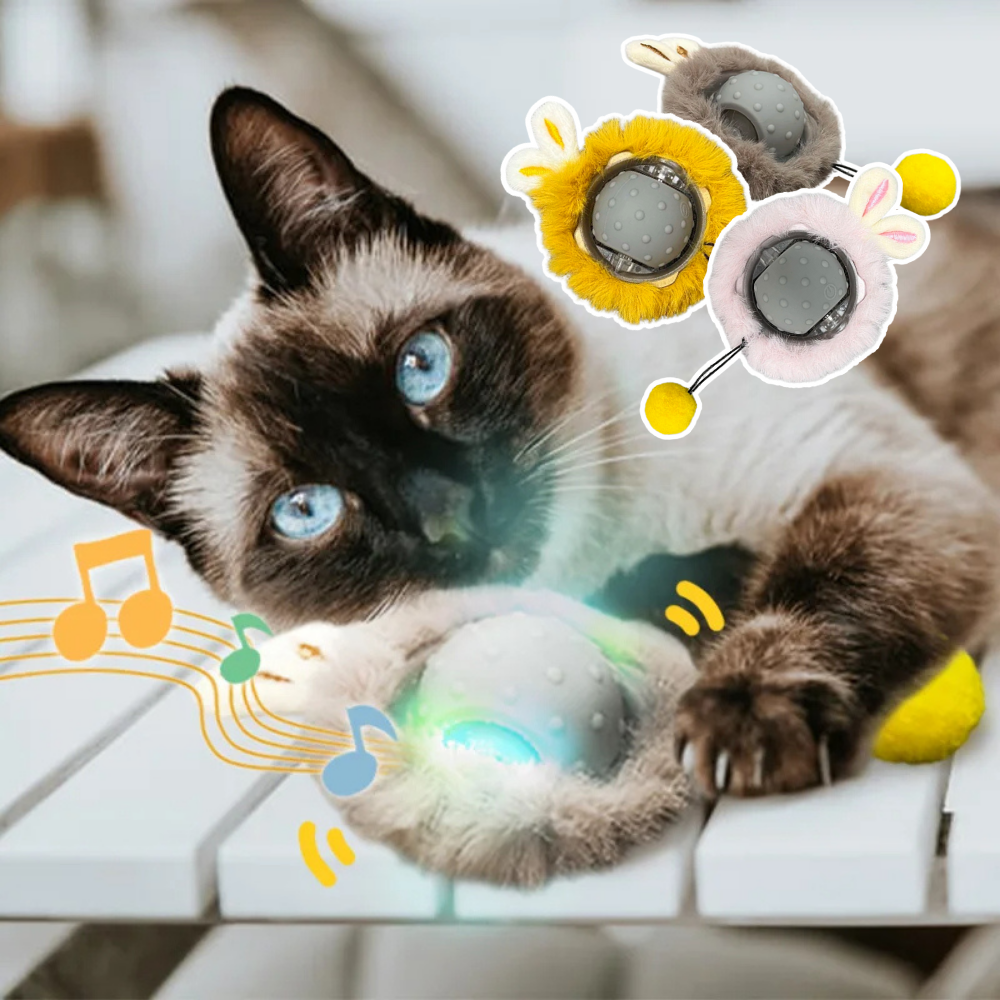 Interactief kattenspeelgoed - Maya Bal