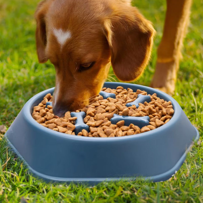 Gezond en Leuk Eten met de Schrokbak Voerbak voor Honden!