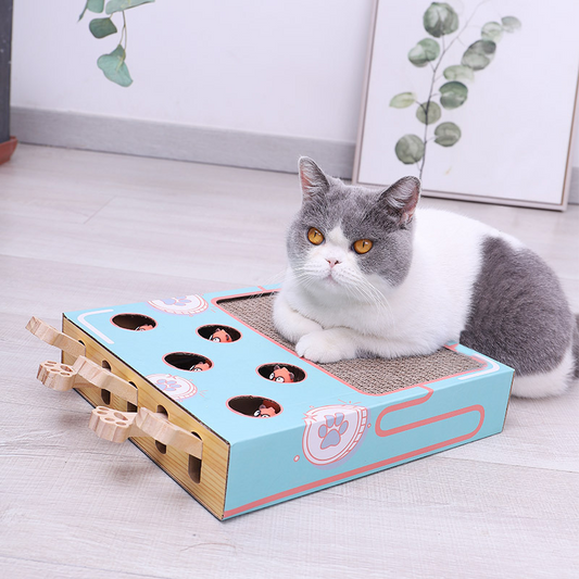 De 3-in-1 Speeltuin voor Katten: Alles-in-één Vermaak!