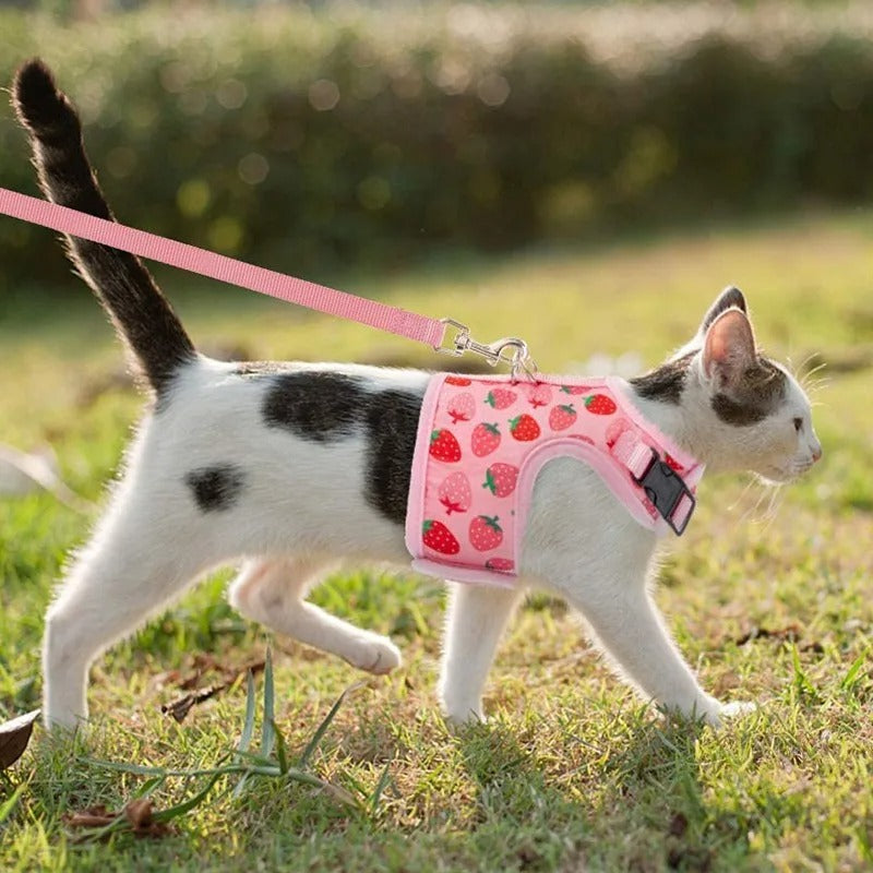 Roze Aardbeien Kattenveiligheidstuig inclusief Riem – Veilig en Schattig voor je Kat!