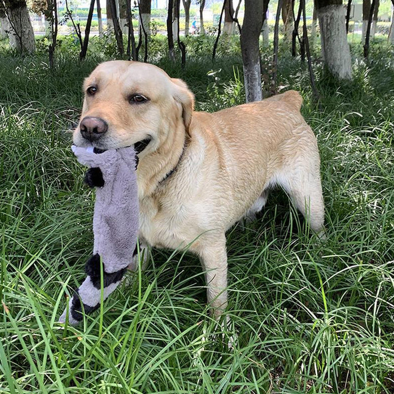 Zachte Piepende Kauwspeeltjes voor Uw Hond - Voor Uren Speelplezier!