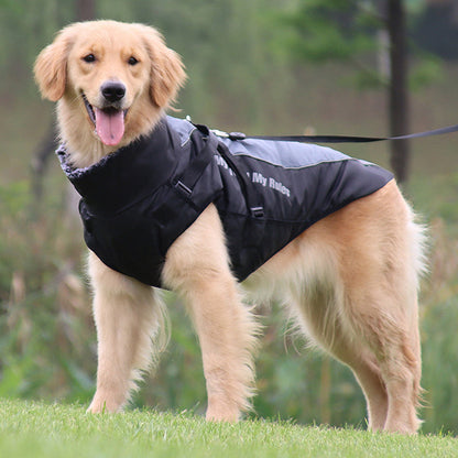 De Ultieme Winterjas voor je Hond: Comfort en Veiligheid in Één!