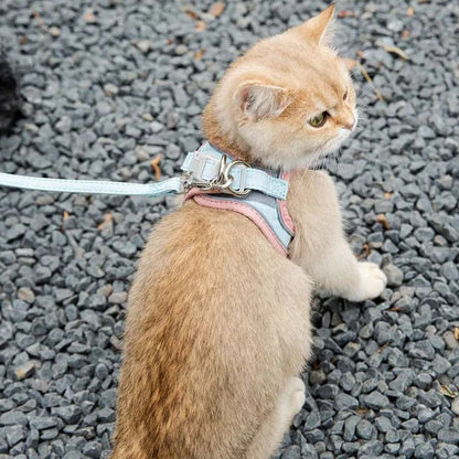 Niet-trekharnas Voor Katten Lichtgevend in het Donker