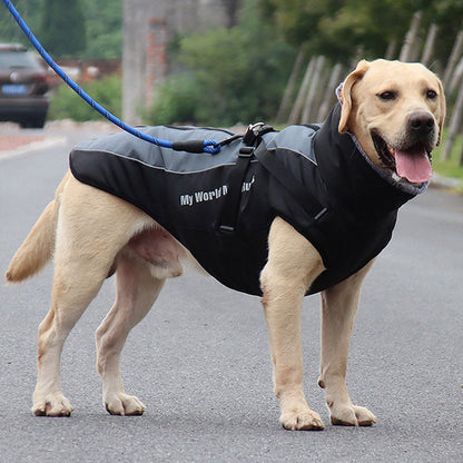 De Ultieme Winterjas voor je Hond: Comfort en Veiligheid in Één!