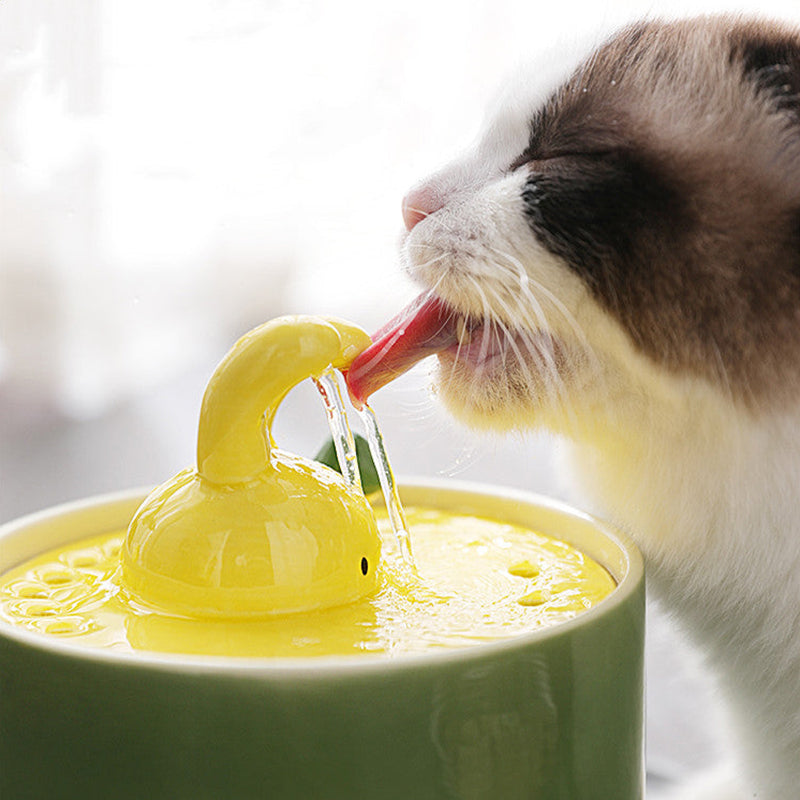 Schattige Konijnen Kattenwaterfontein: Stil, Veilig & Gemakkelijk Schoon te Maken!