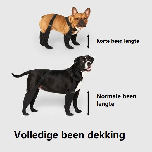 Bescherm de Pootjes van je Hond: Ontdek Hondenlaarzen die Werken!