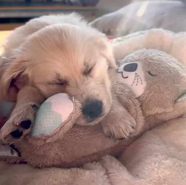 Het Ademende Beertje: De Ultieme Ontspanning Knuffel voor je Huisdier!