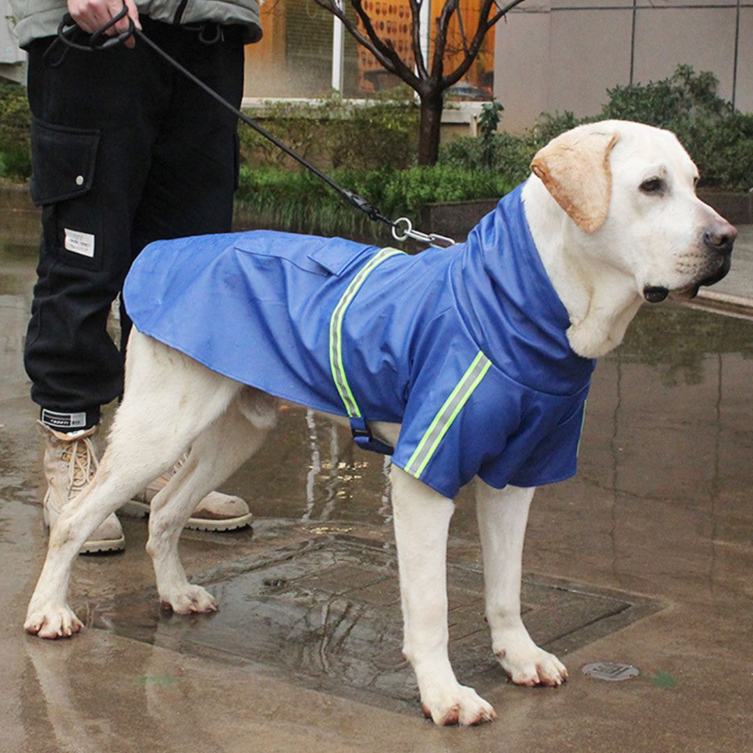 Bescherm je hond tegen wind, regen en kou - Regenjas voor honden