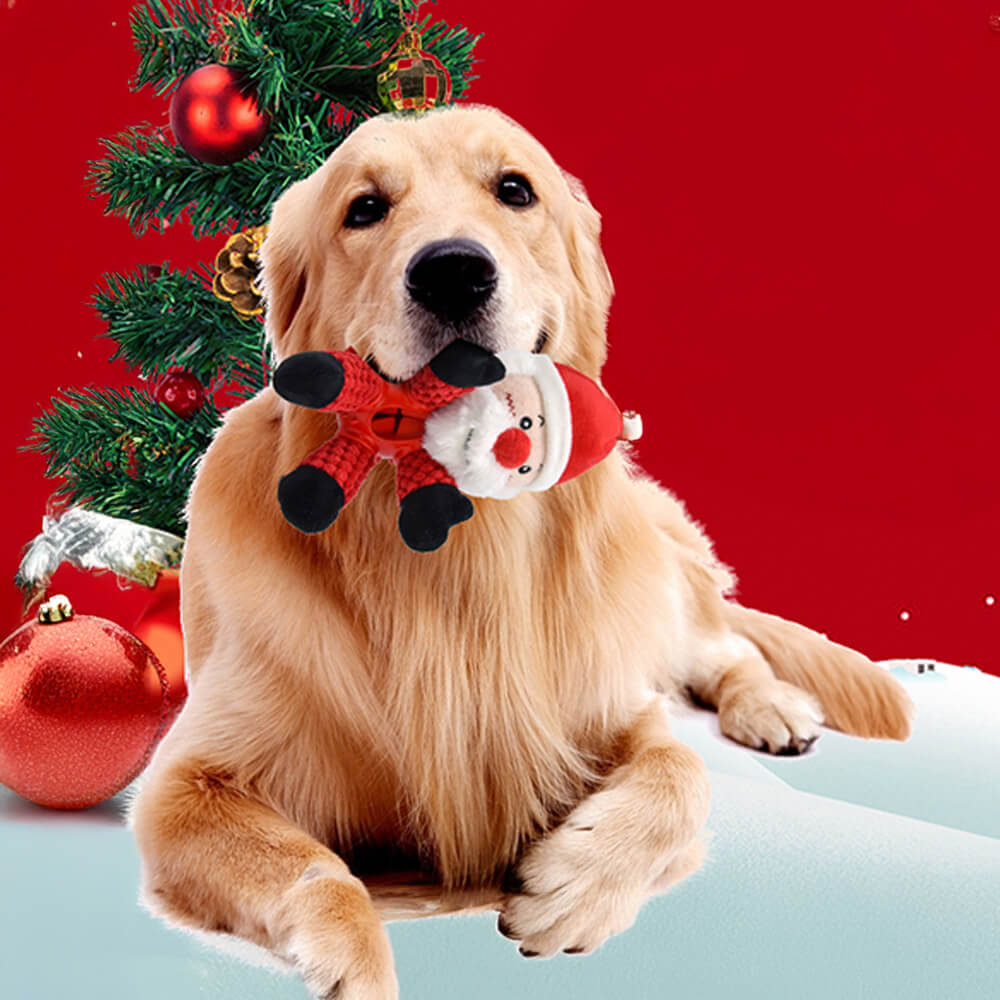 Interactief Kerstspeelgoed voor Honden – voor Speelse Afleiding en pelzier