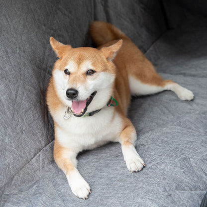 Krasbestendige Autostoelhoes voor Honden