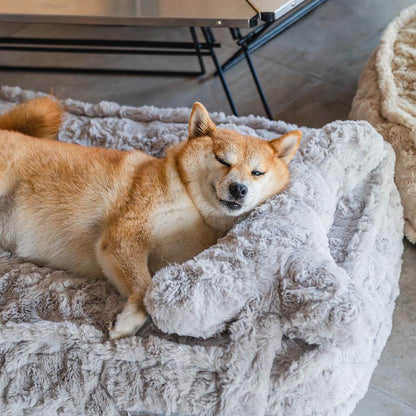 Warm Fluffy Rond Wolkvormig Kalmerend Hondenbed Met Botvorming Kussen