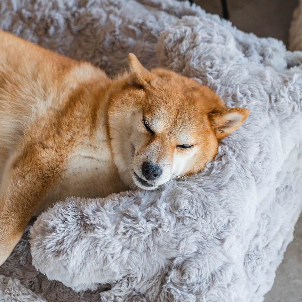 Warm Fluffy Rond Wolkvormig Kalmerend Hondenbed Met Botvorming Kussen