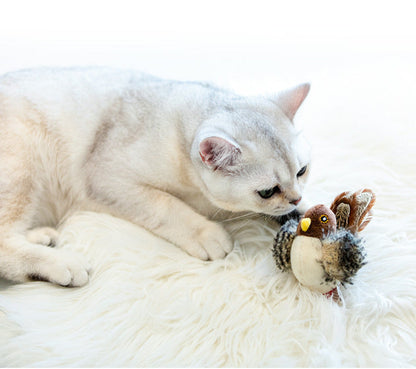 Eindeloos Speelplezier voor Jouw Kat: Ontdek het Zingende Vogelmaatje Kattenspeeltje!