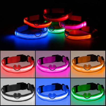 Zorg voor de Veiligheid van je Hond met de Reflecterende Halsband!