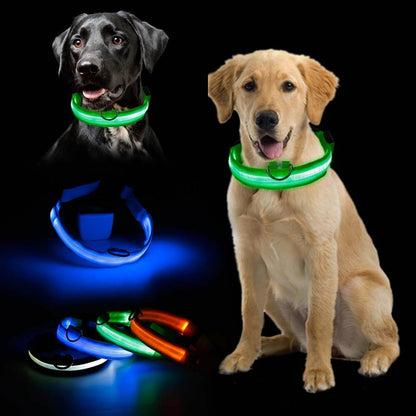 Zorg voor de Veiligheid van je Hond met de Reflecterende Halsband!