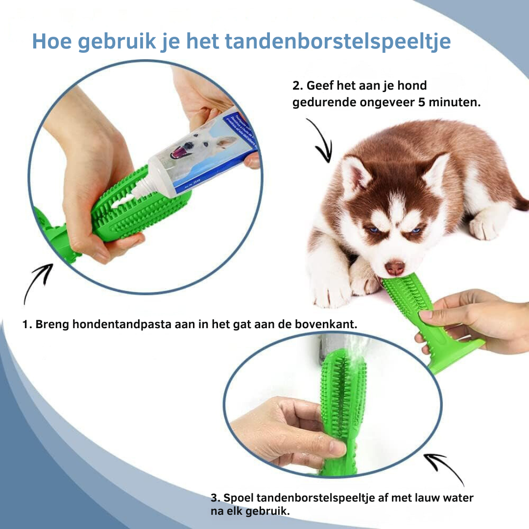 Tandenborstelspeeltje voor Honden - Speel en Reinig Tegelijkertijd!