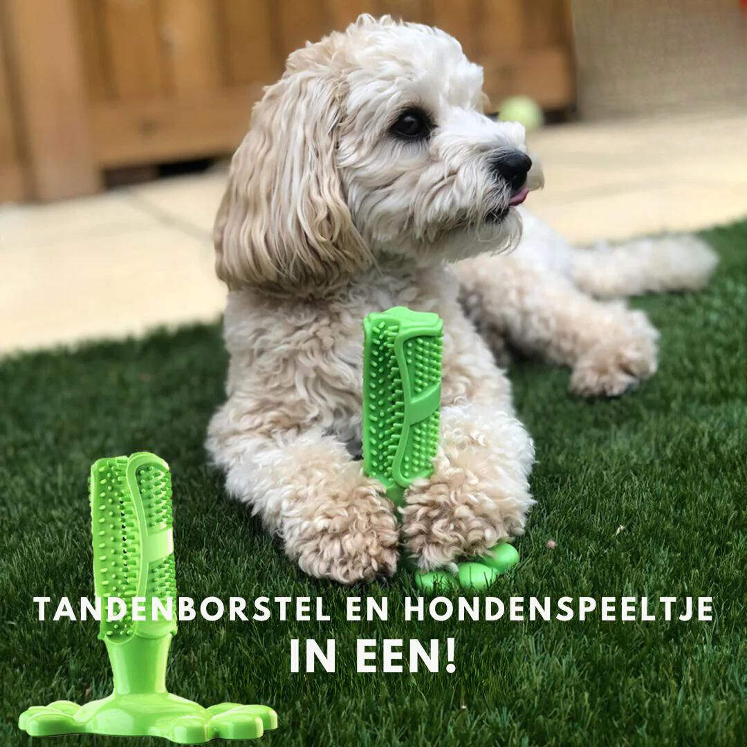 Tandenborstelspeeltje voor Honden - Speel en Reinig Tegelijkertijd!