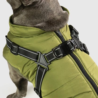 De Perfecte Winterjas voor Honden: Warm, Trendy en Veilig!