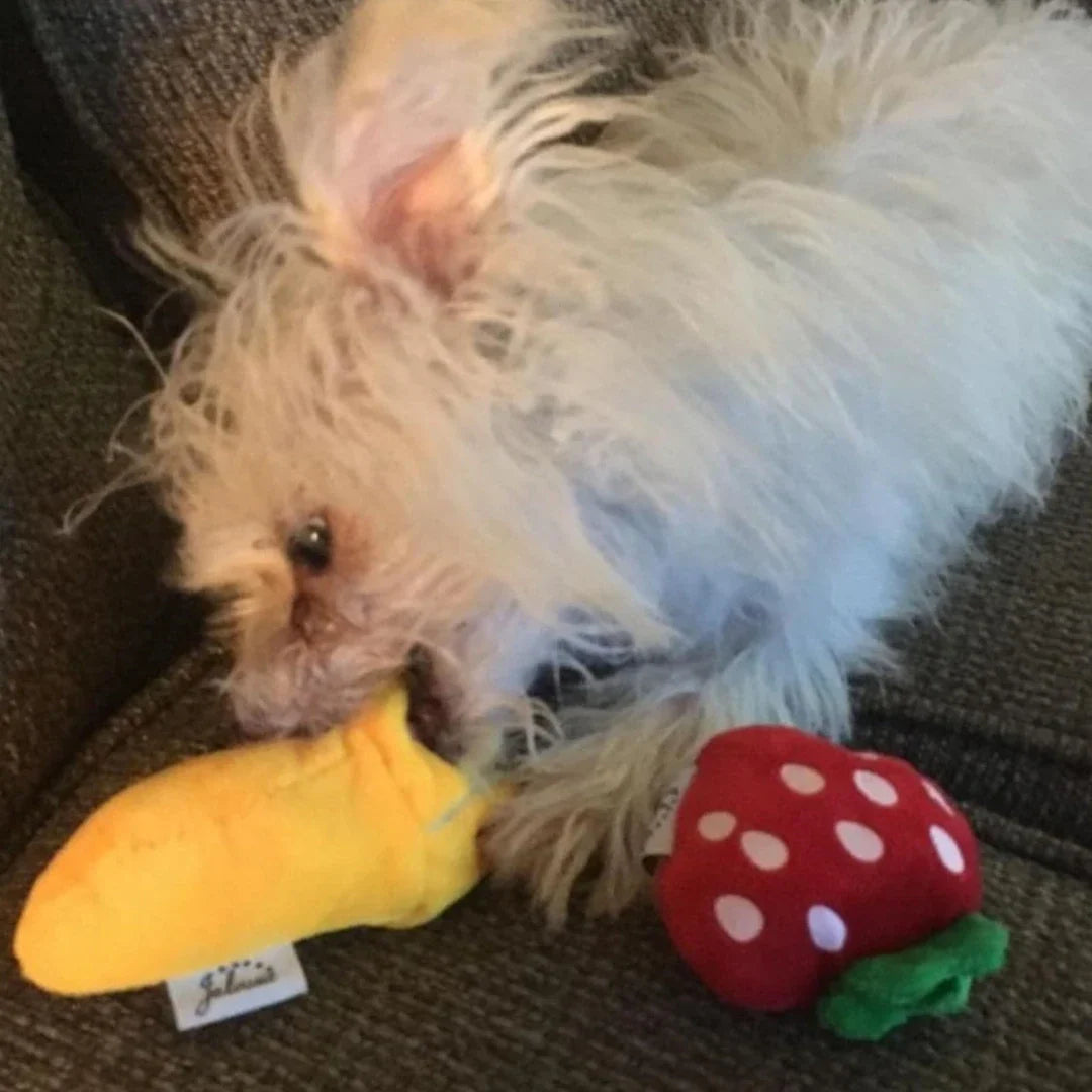 Puppy Speelgoed Set – 7 Geluidsspeeltjes voor Kauwplezier en Zintuigontwikkeling