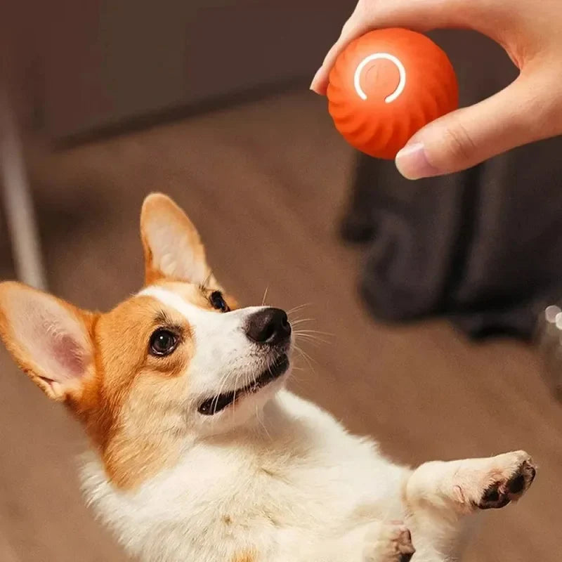 Houd je Hond Blij en Actief met de Automatische Rollende Speelbal!