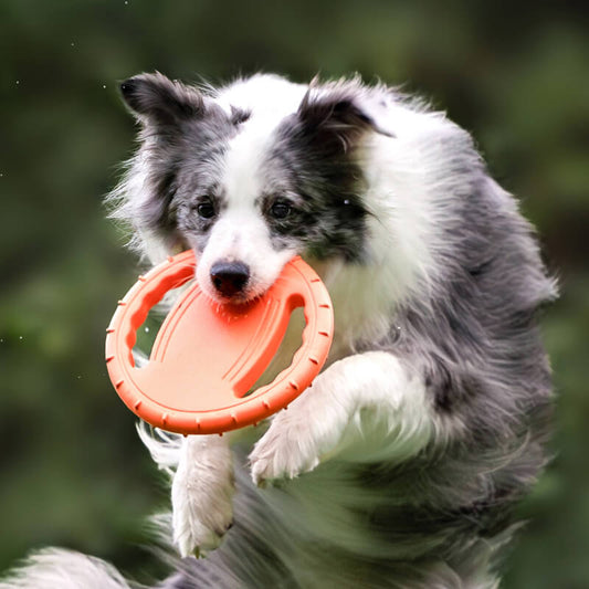 Interactieve Rubberen Honden Frisbee