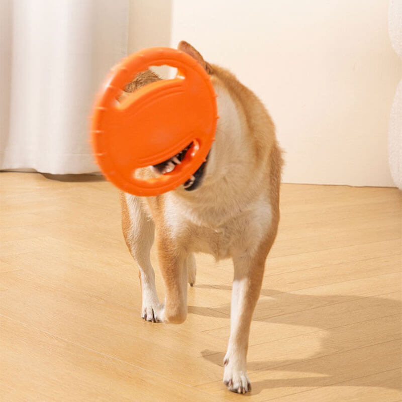 Interactieve Rubberen Honden Frisbee