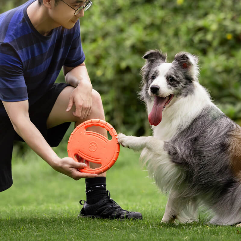 Interactieve Rubberen Honden Frisbee