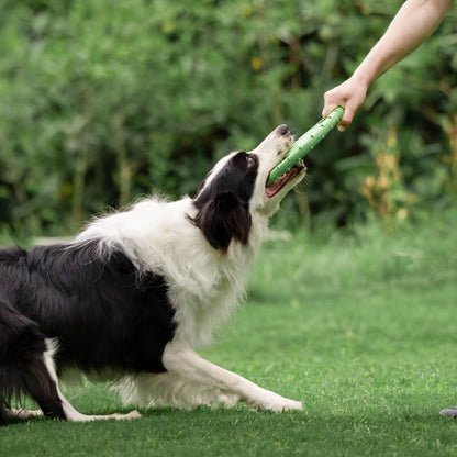 Interactieve Rubberen Honden Frisbee