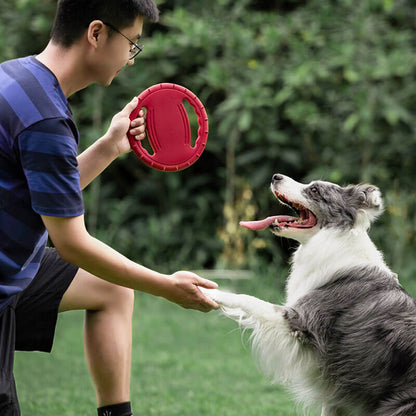 Interactieve Rubberen Honden Frisbee