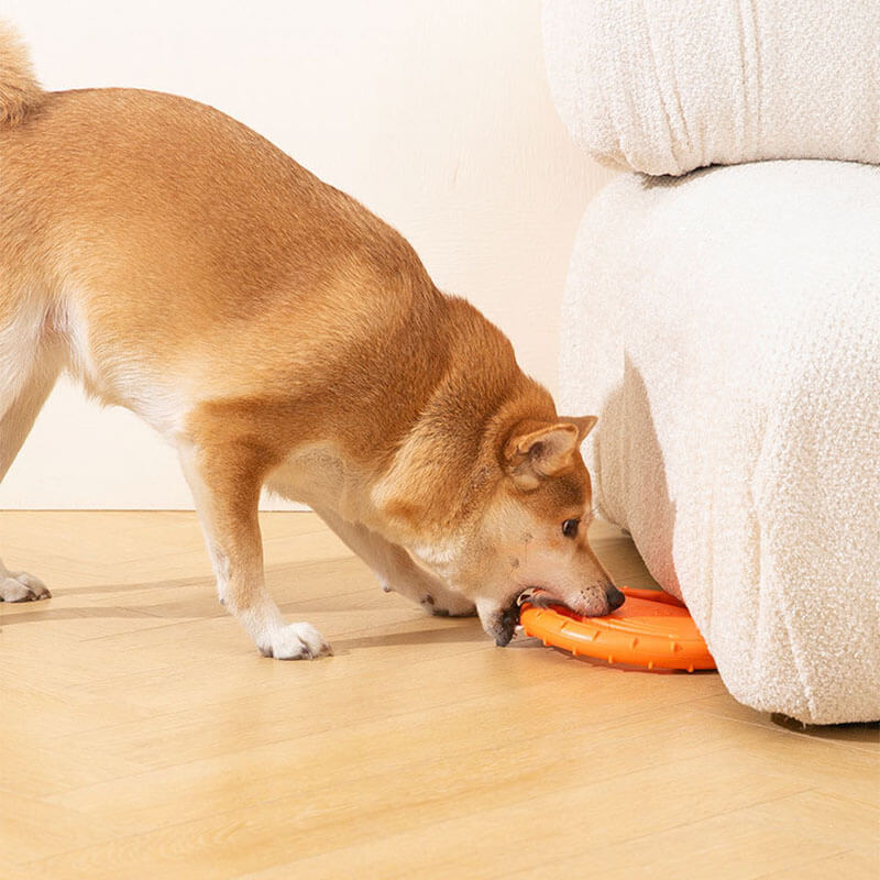 Interactieve Rubberen Honden Frisbee