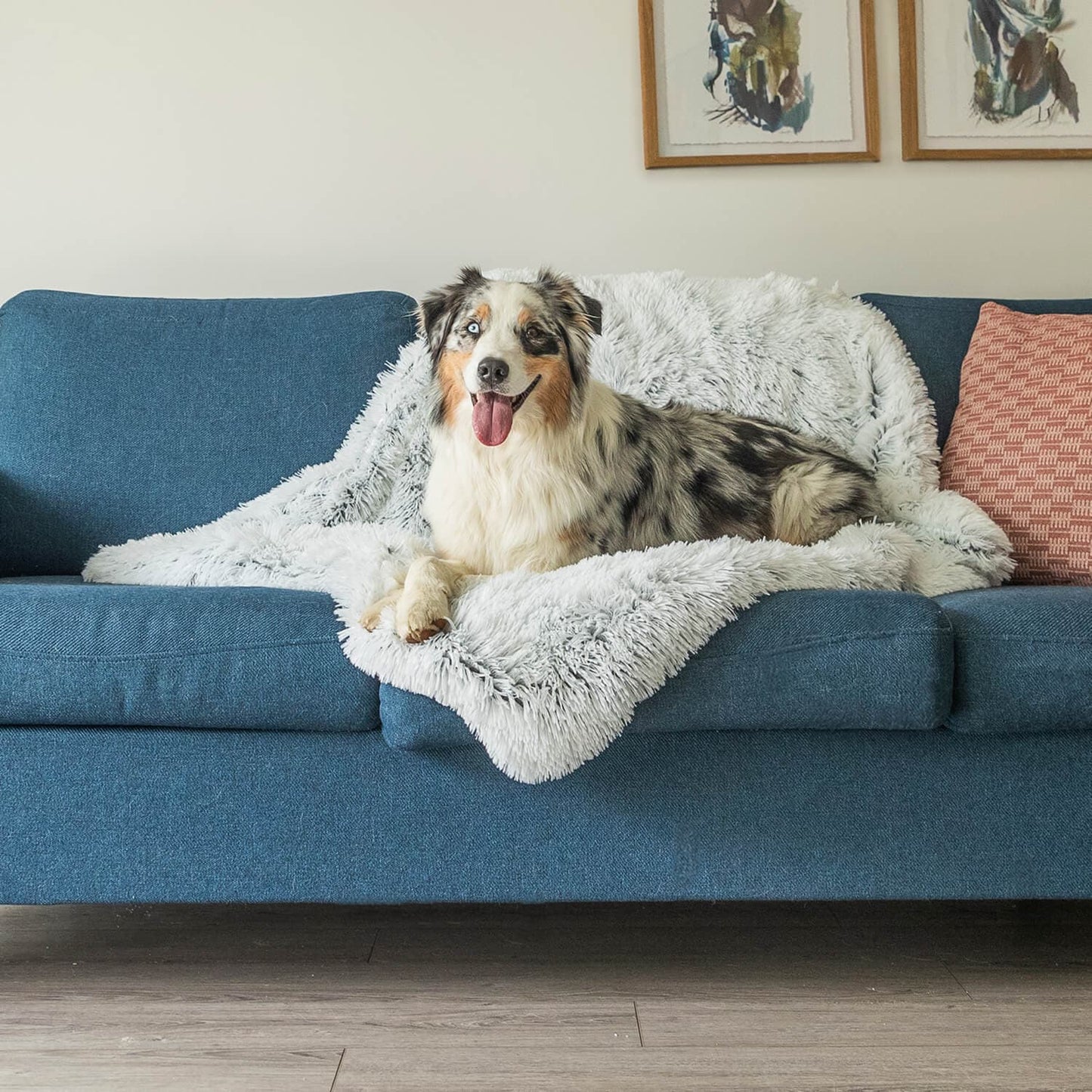 Gun je hond de ultieme nachtrust: Het Kalmerend Dekentje!