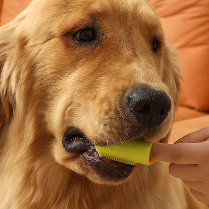 BOBBY Tandenborstel voor Honden en Katten